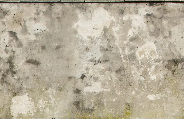 Wall Concrete Dirty3 main texture preview