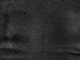 S S D03 Reptile Skin main texture preview