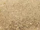 S S Belmonte main texture preview