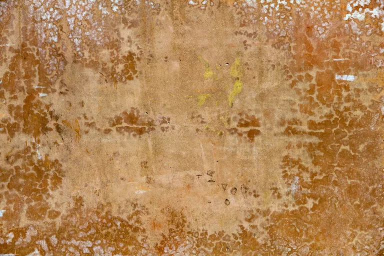 89 main texture preview