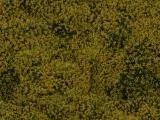 S S Natur19L main texture preview