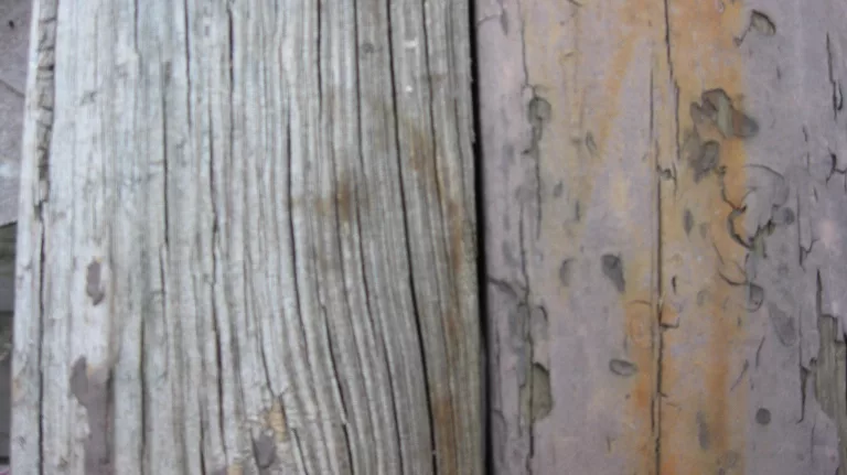 Sourcephoto Old Wood3 texture preview