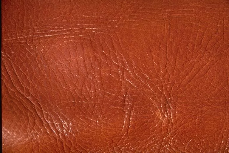 I M G0086 main texture preview