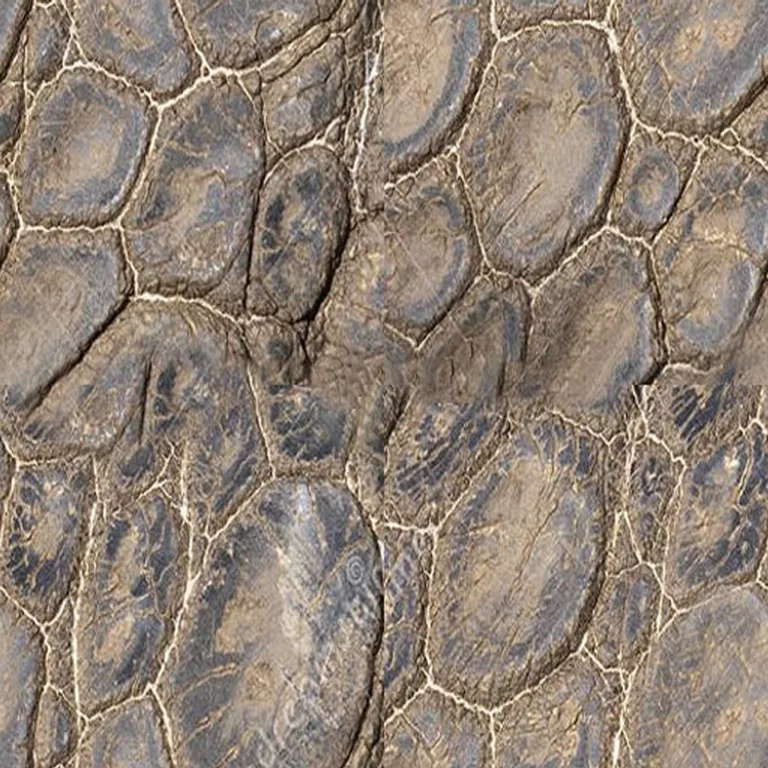 Turtle Leather main texture preview