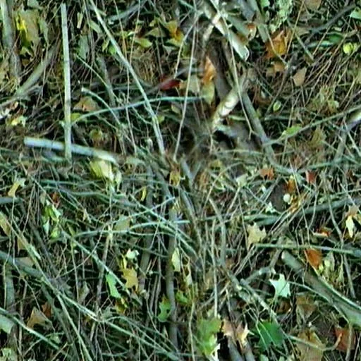 Nature076 main texture preview