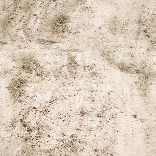 Sand 029 main texture preview