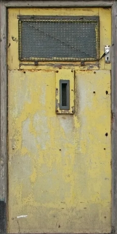Door Wood Yellow main texture preview