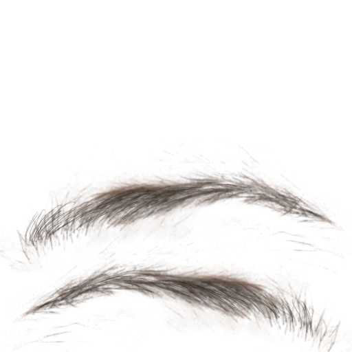 Eyebrow011 main texture preview