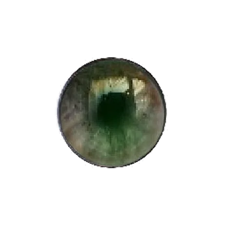 Eye Moss main texture preview