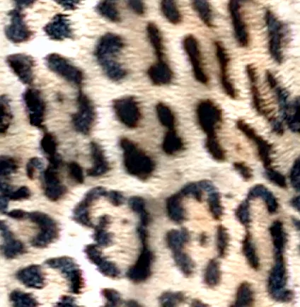 Cheetah Square Cyc main texture preview