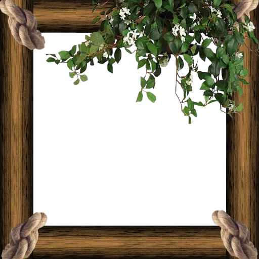 Treehouse Window2 main texture preview