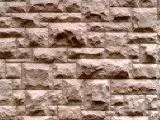 S S Tex 009 main texture preview