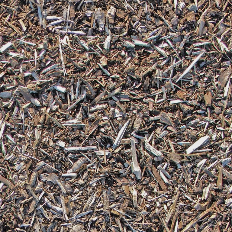 Ground Twigs Dirt main texture preview