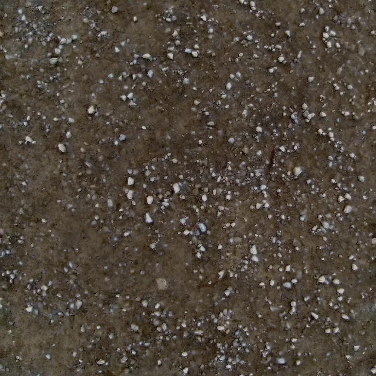 Soil Gravel Cc By Christian Femmer main texture preview