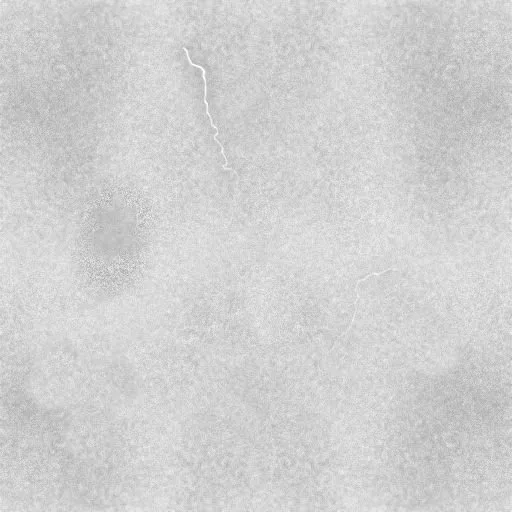 Cement White Cracks2 main texture preview