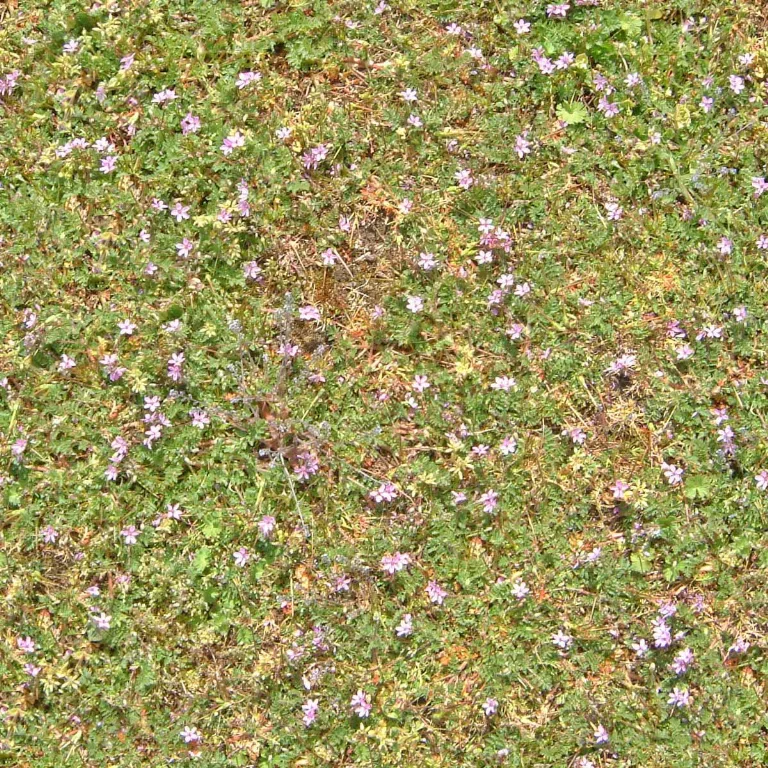Alng Grass 07 Cc0 main texture preview