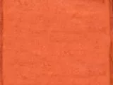 S S Hotdog main texture preview