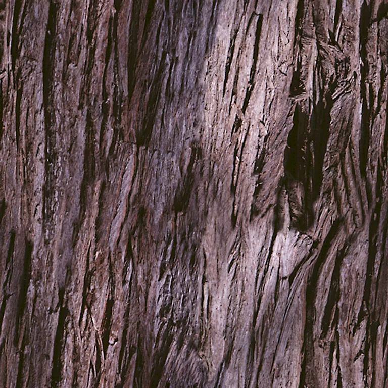 Wood Redwood Tree Bark Pxr128 Cc By By Pixar main texture preview