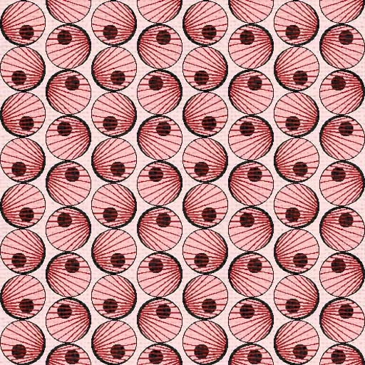 239 Cercles main texture preview