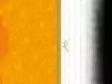 S S Butt main texture preview