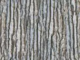 S S Wood03L main texture preview