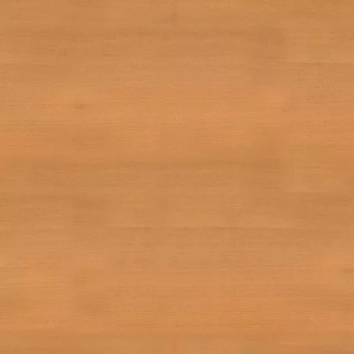 082Poirier main texture preview