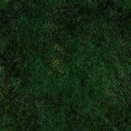 Herbe 1 main texture preview
