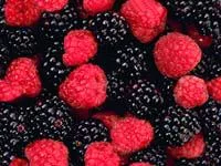 Raspberr main texture preview