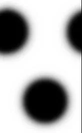 Spots T main texture preview