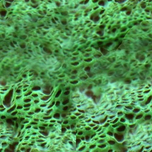Main Texture for Lizard Green Skin