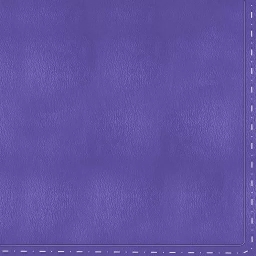 Purple Leather Seams 3 main texture preview