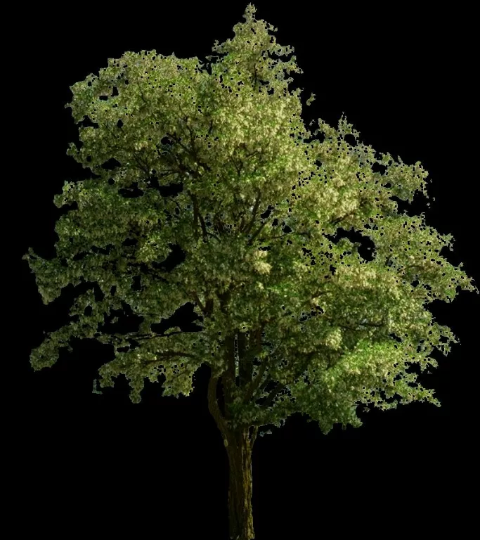 Tex 006 main texture preview
