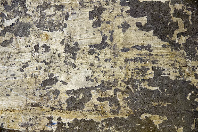 34 main texture preview