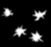 Rips2 main texture preview