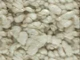 S S Ricecake main texture preview
