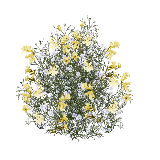 Yellow Delicate Flowers texture preview