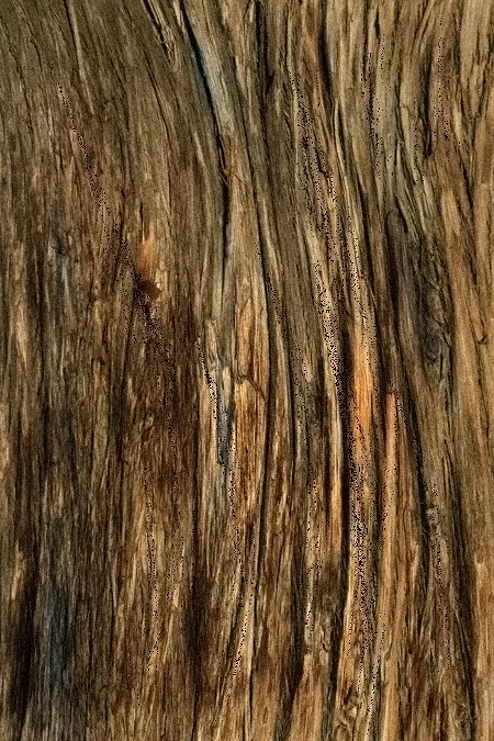 Bark Tree Colorful main texture preview