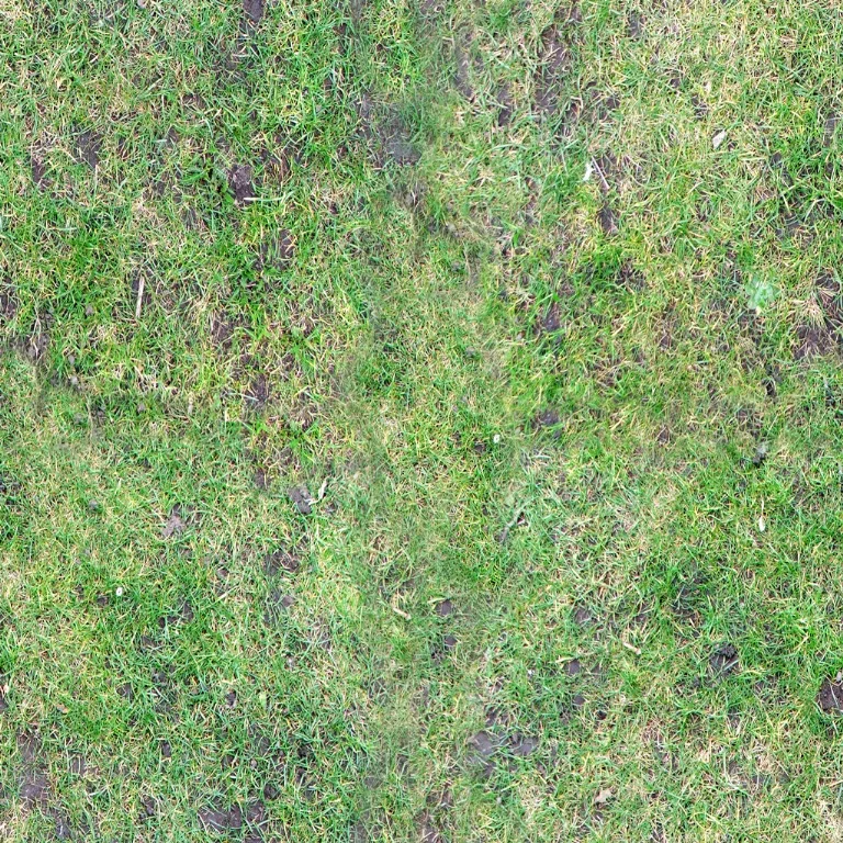 Grass Rough main texture preview