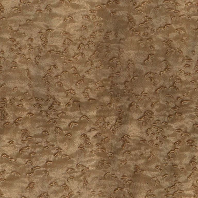 Wood Dark Birdseye Maple Pxr128 Cc By By Pixar main texture preview