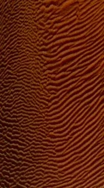 Sand main texture preview