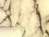 S S Arabesca main texture preview
