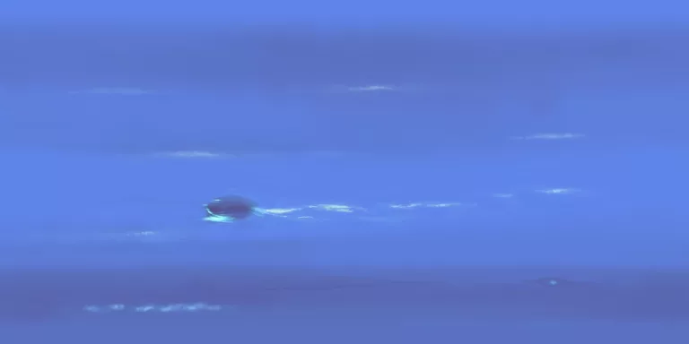 Neptune1 main texture preview