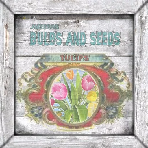 Bt Shabbychic Crate Tulips main texture preview