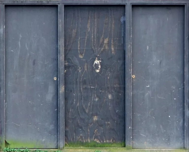 Doors Wood Double main texture preview