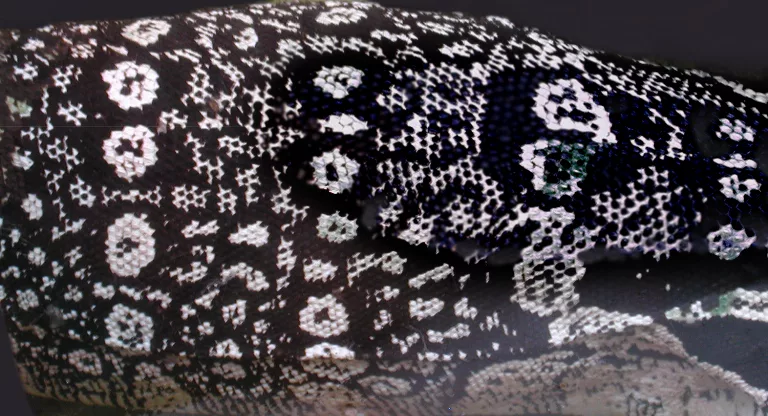 Lizard main texture preview