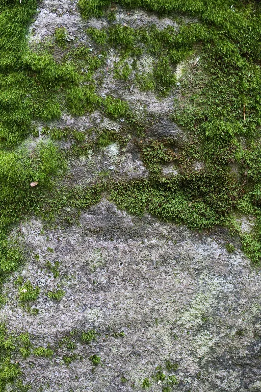 Img 0183 main texture preview
