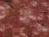 S S Rottingflesh main texture preview