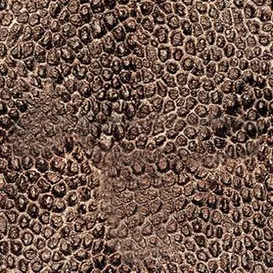 Main Texture for Dragon Dark Skin