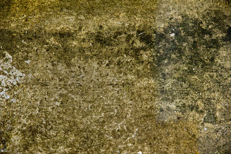68 main texture preview