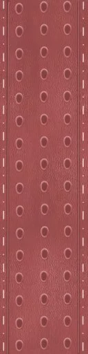 Red Leather Strap 5 main texture preview